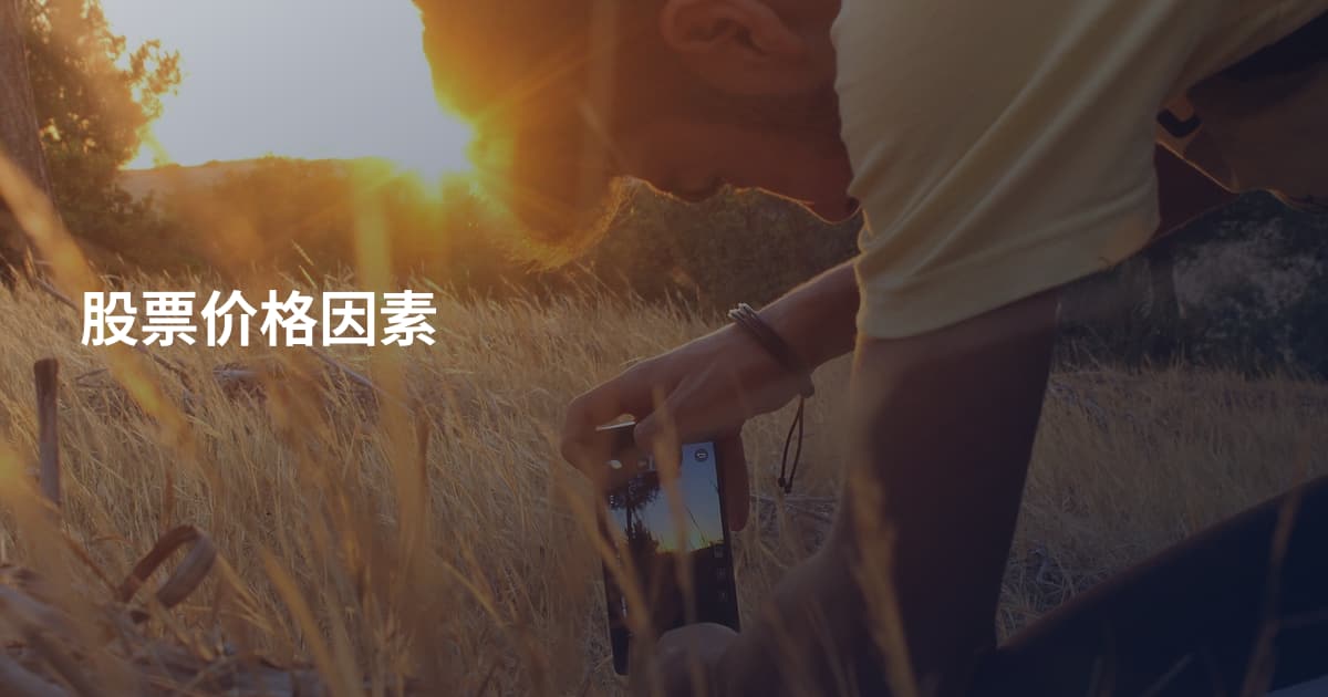 股票价格因素