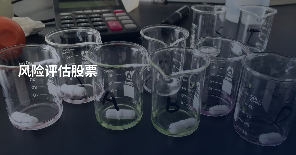 风险评估股票