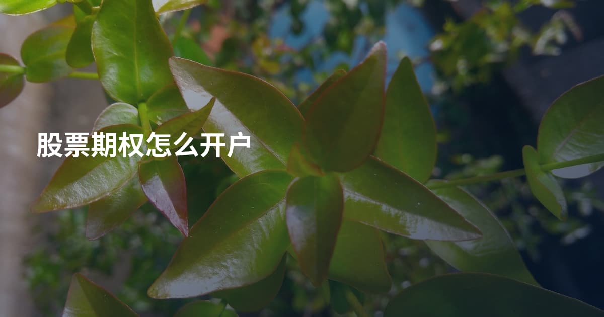 股票期权怎么开户