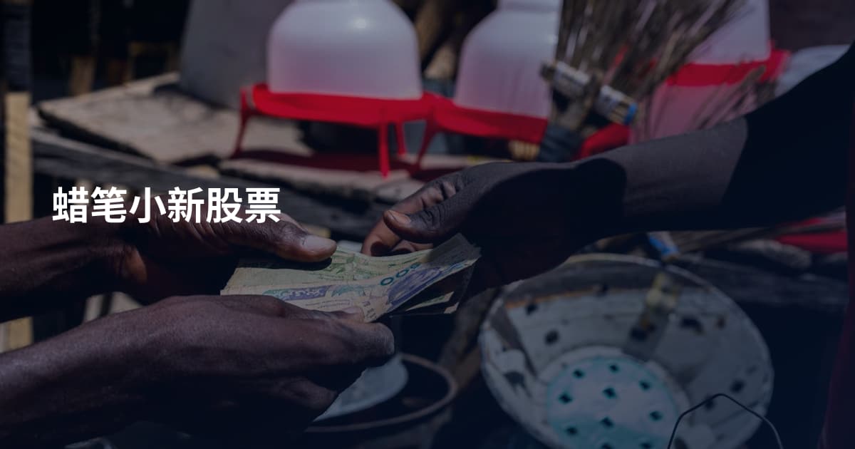 蜡笔小新股票