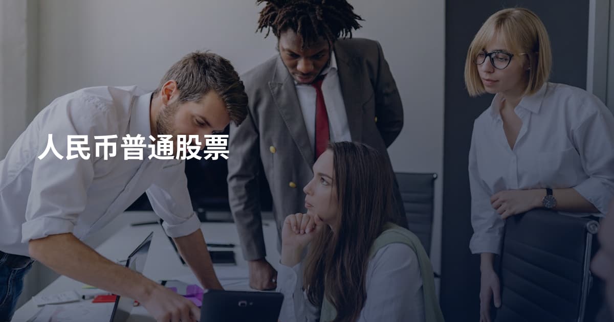 人民币普通股票