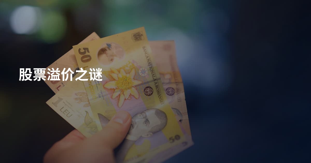 股票溢价之谜