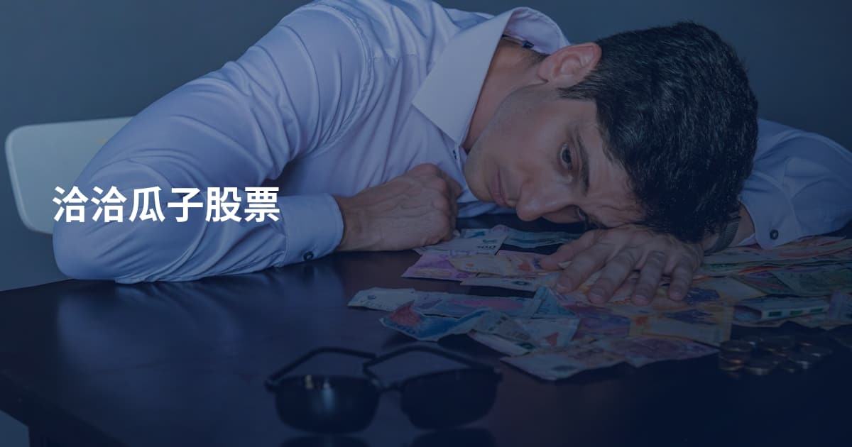 洽洽瓜子股票