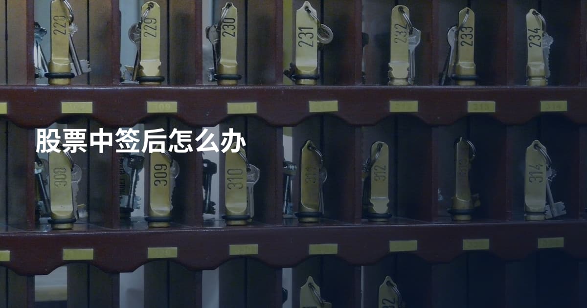 股票中签后怎么办