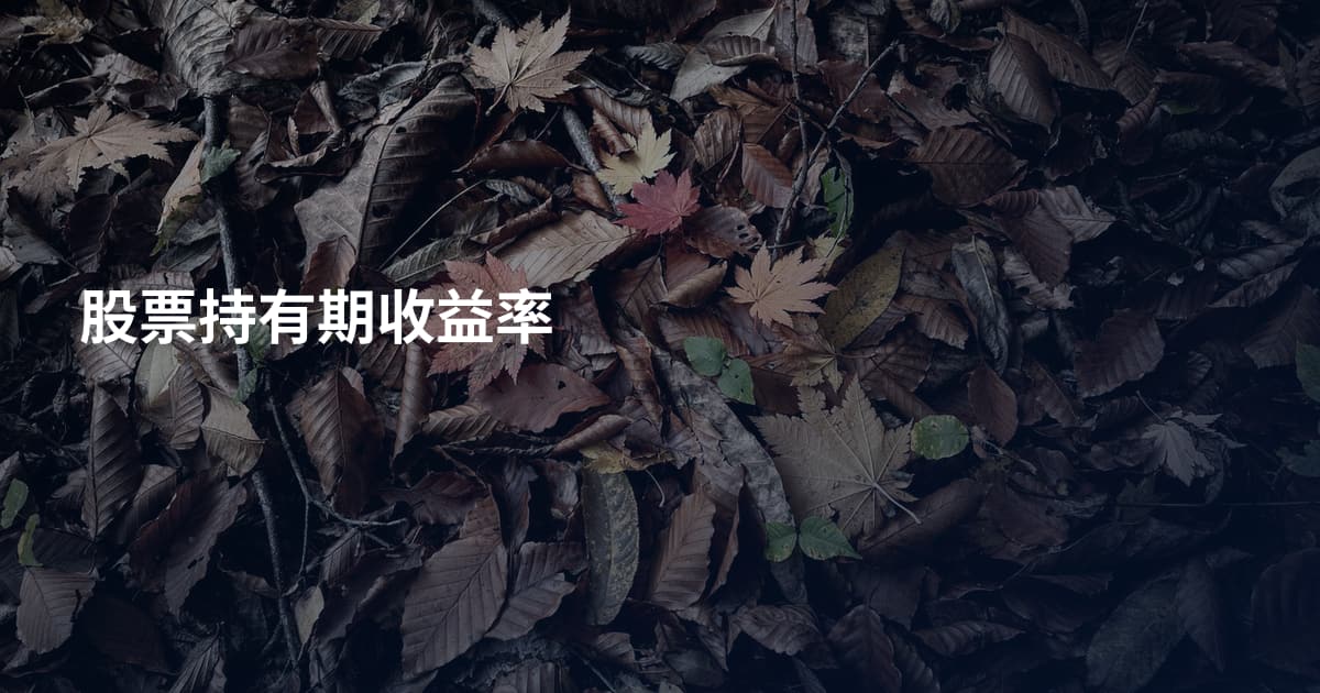 股票持有期收益率