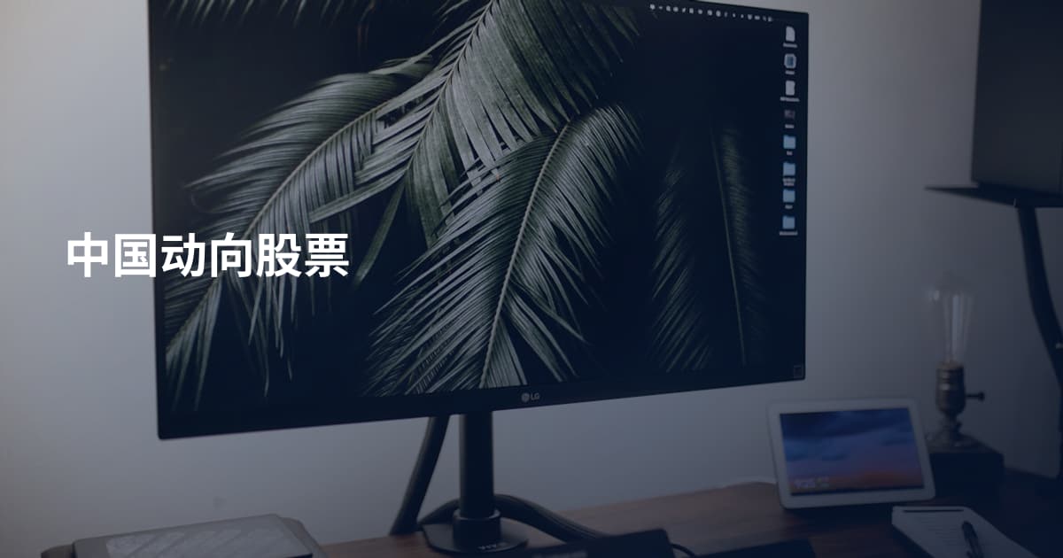 中国动向股票