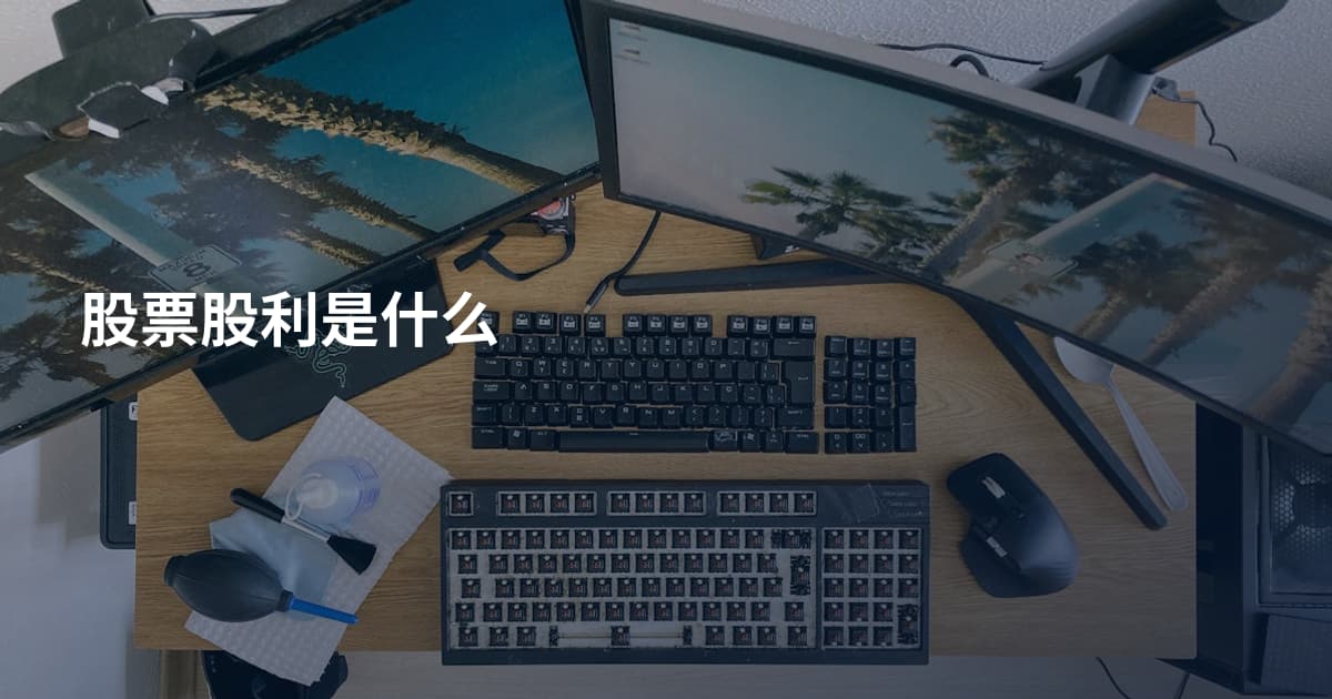 股票股利是什么
