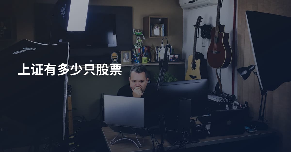 上证有多少只股票