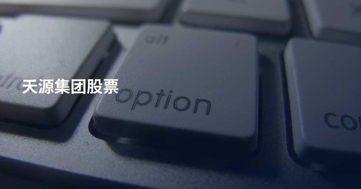 天源集团股票