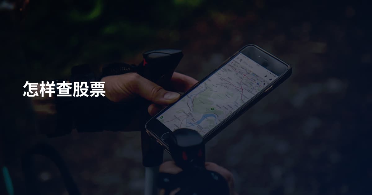 怎样查股票