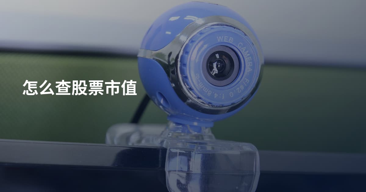 怎么查股票市值
