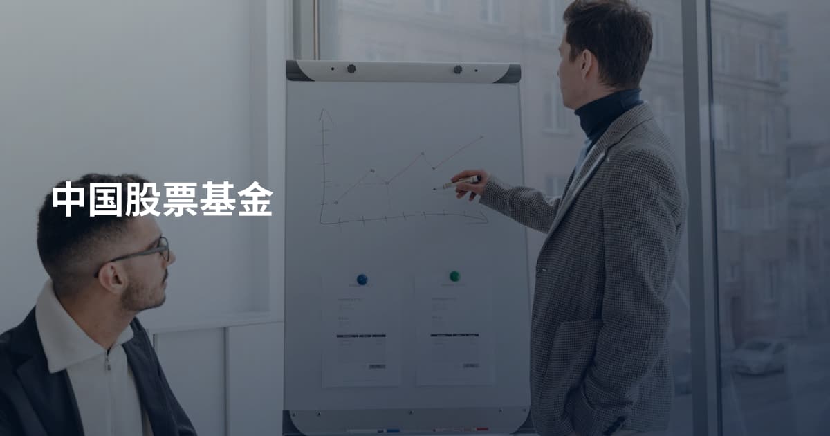 中国股票基金