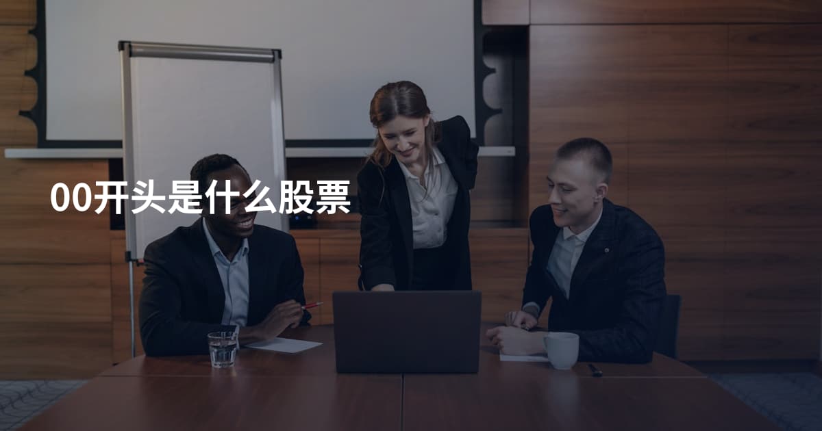 00开头是什么股票