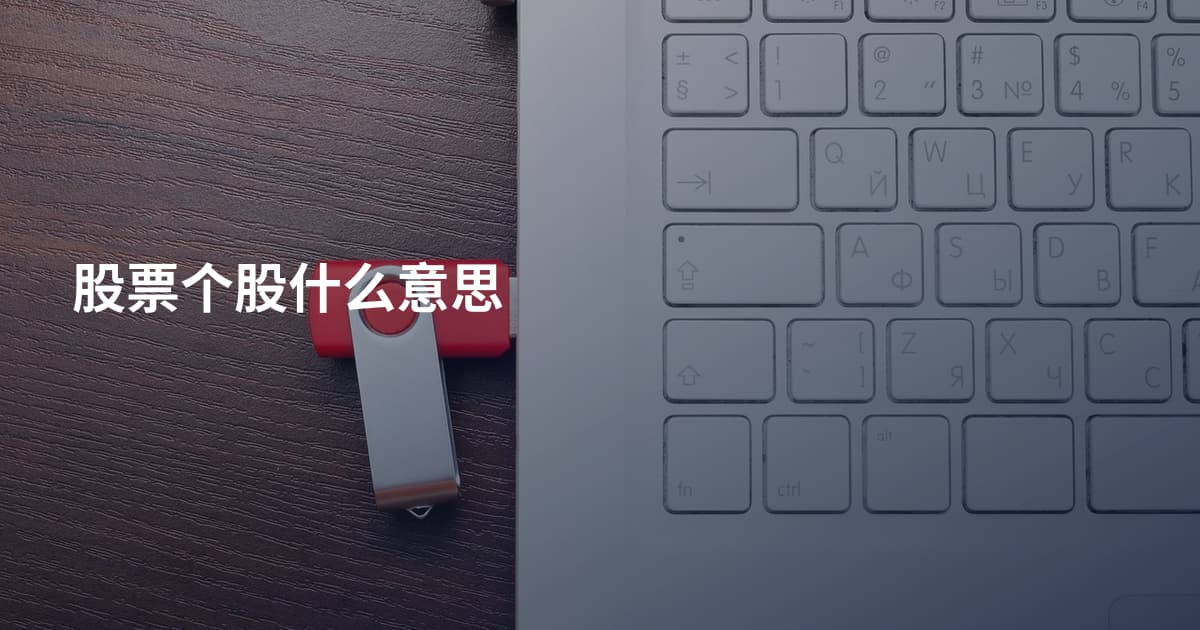 股票个股什么意思