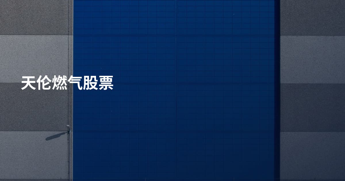 天伦燃气股票