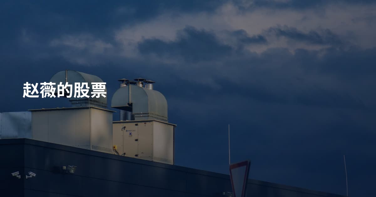 赵薇的股票