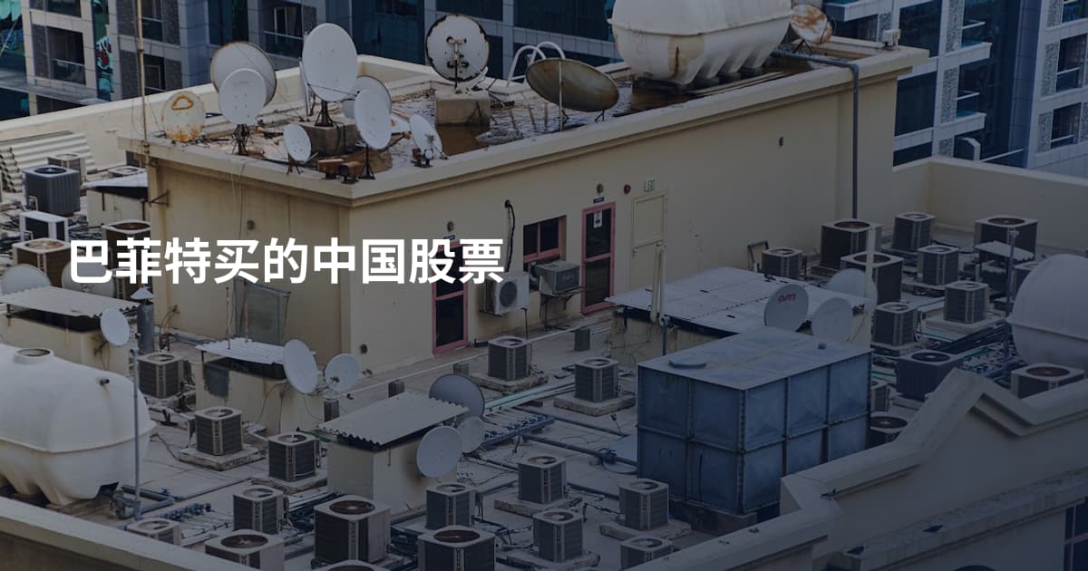 巴菲特买的中国股票