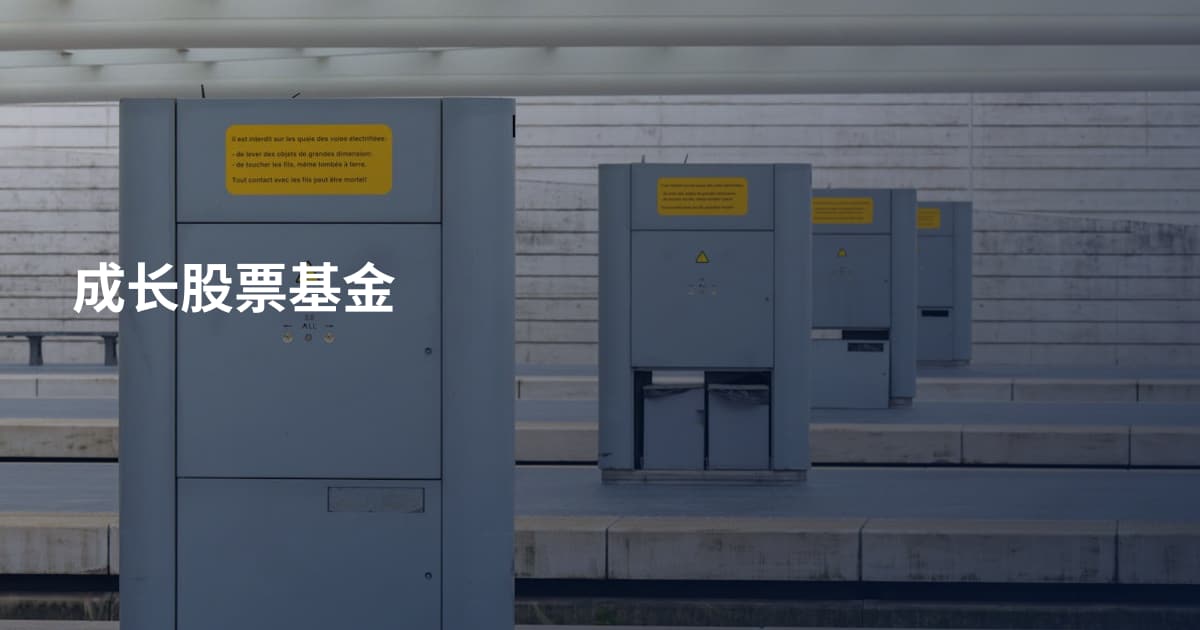 成长股票基金