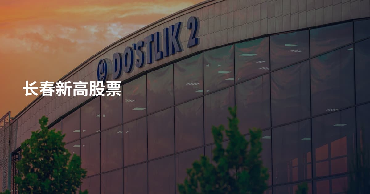 长春新高股票