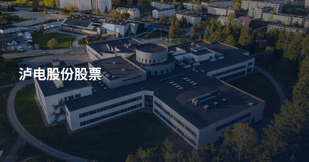 泸电股份股票