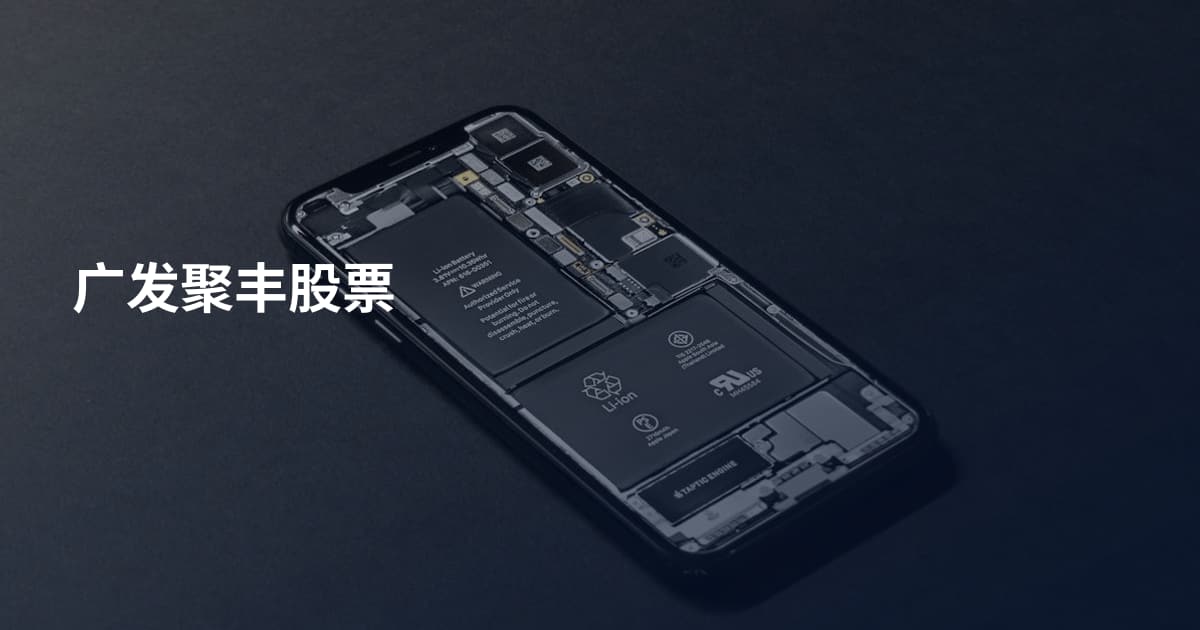 广发聚丰股票