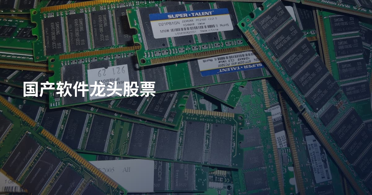 国产软件龙头股票