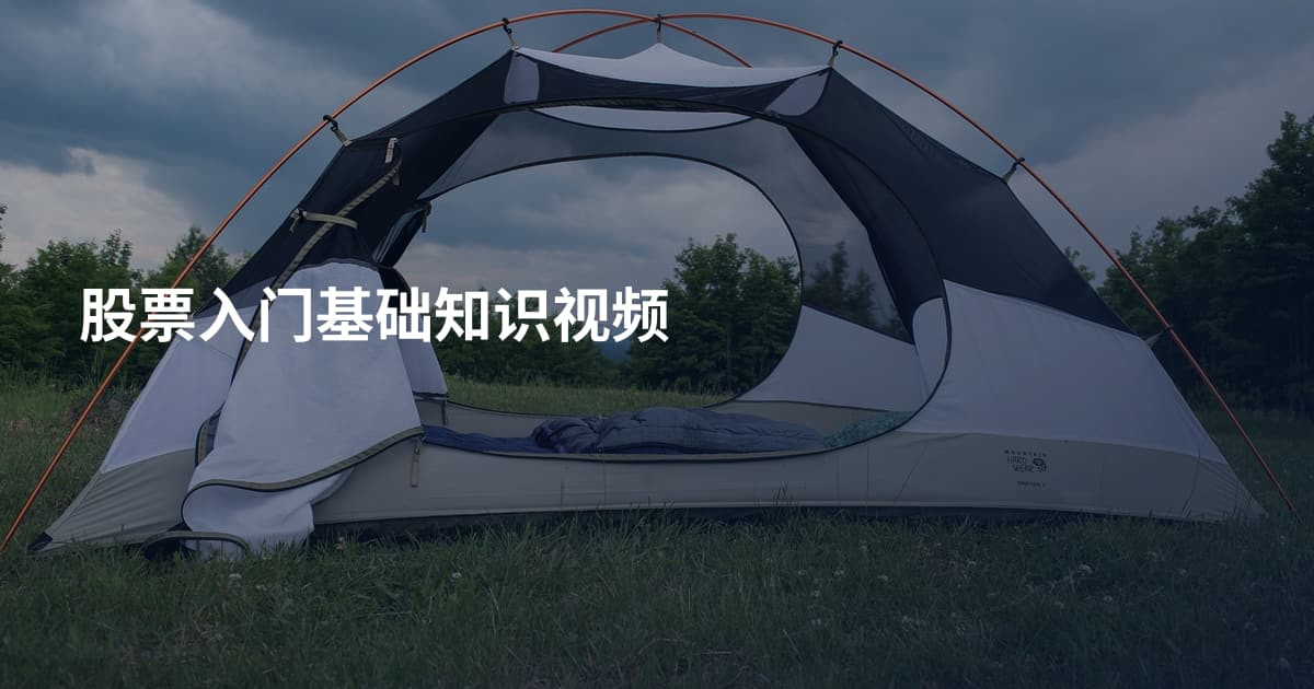 股票入门基础知识视频