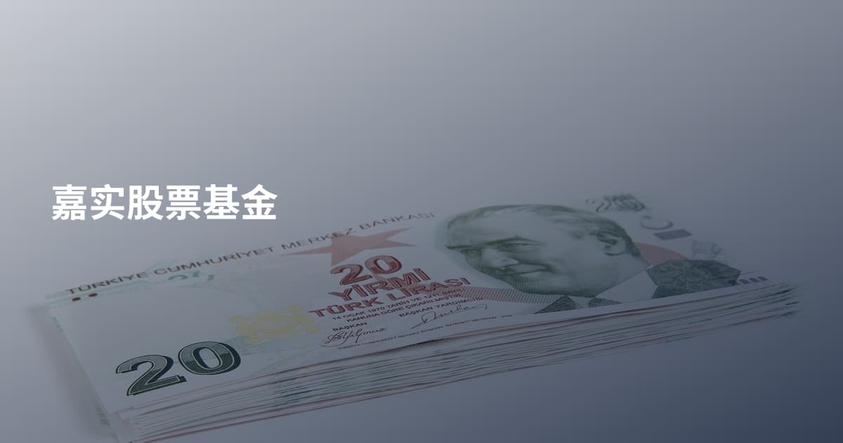 嘉实股票基金