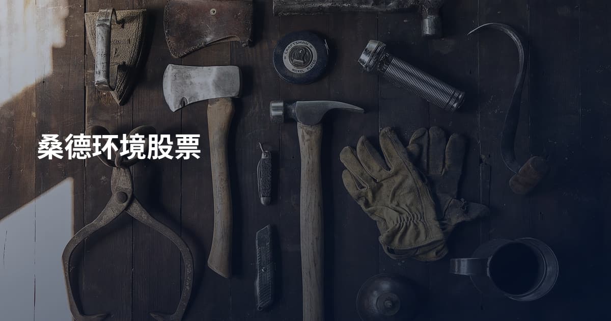 桑德环境股票
