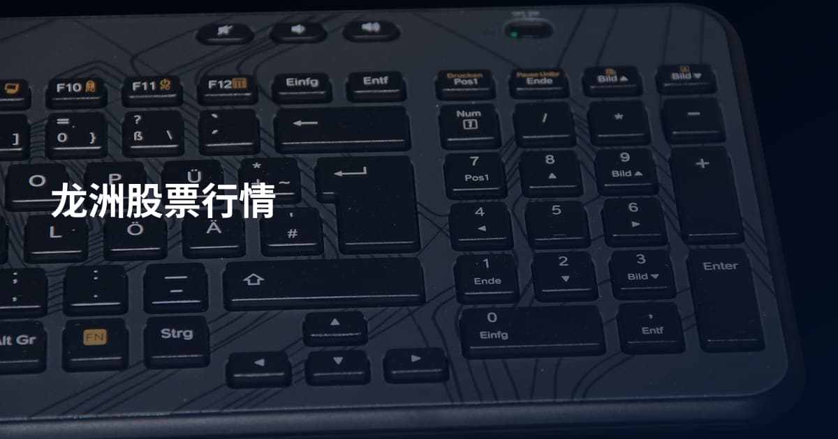 龙洲股票行情