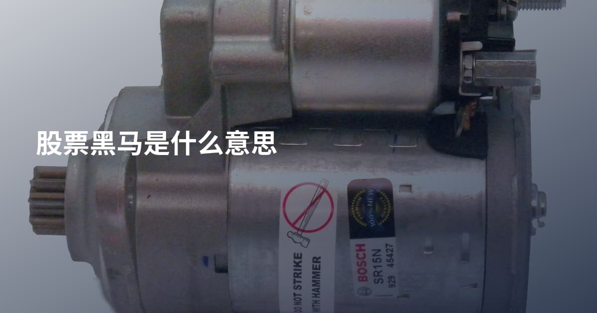 股票黑马是什么意思