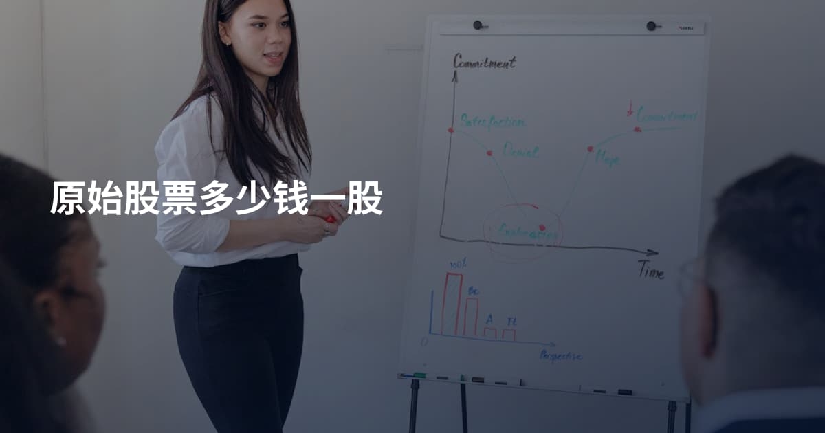 原始股票多少钱一股