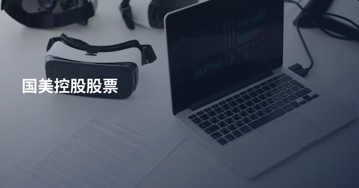 国美控股股票
