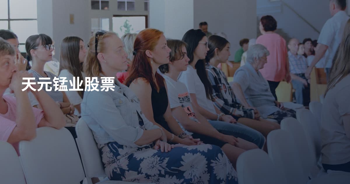 天元锰业股票