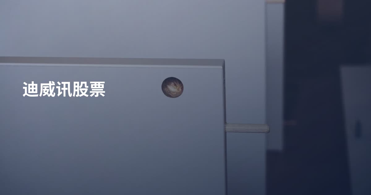 迪威讯股票