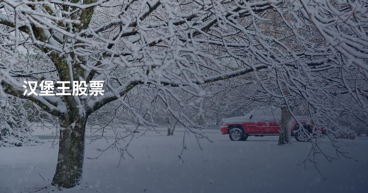 汉堡王股票