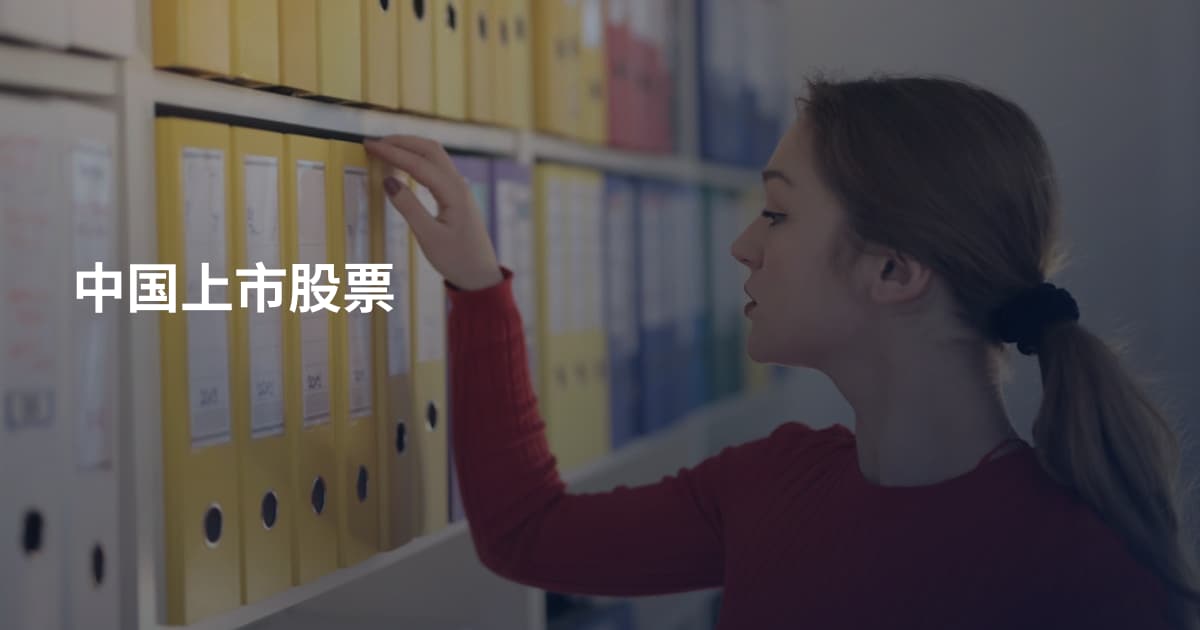 中国上市股票