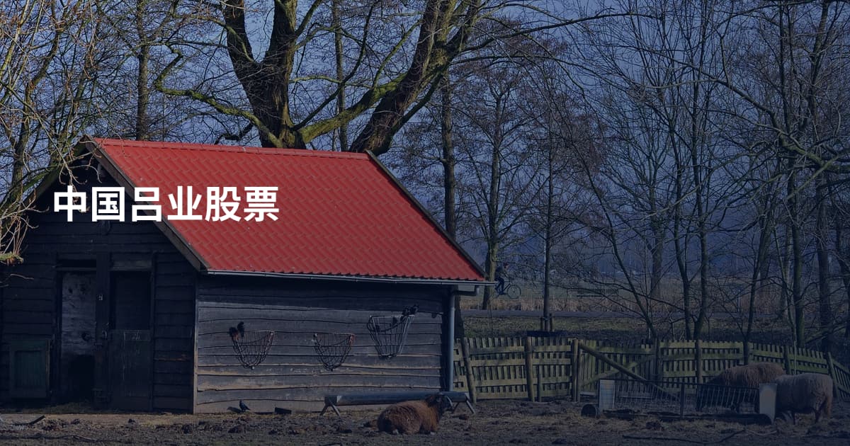 中国吕业股票