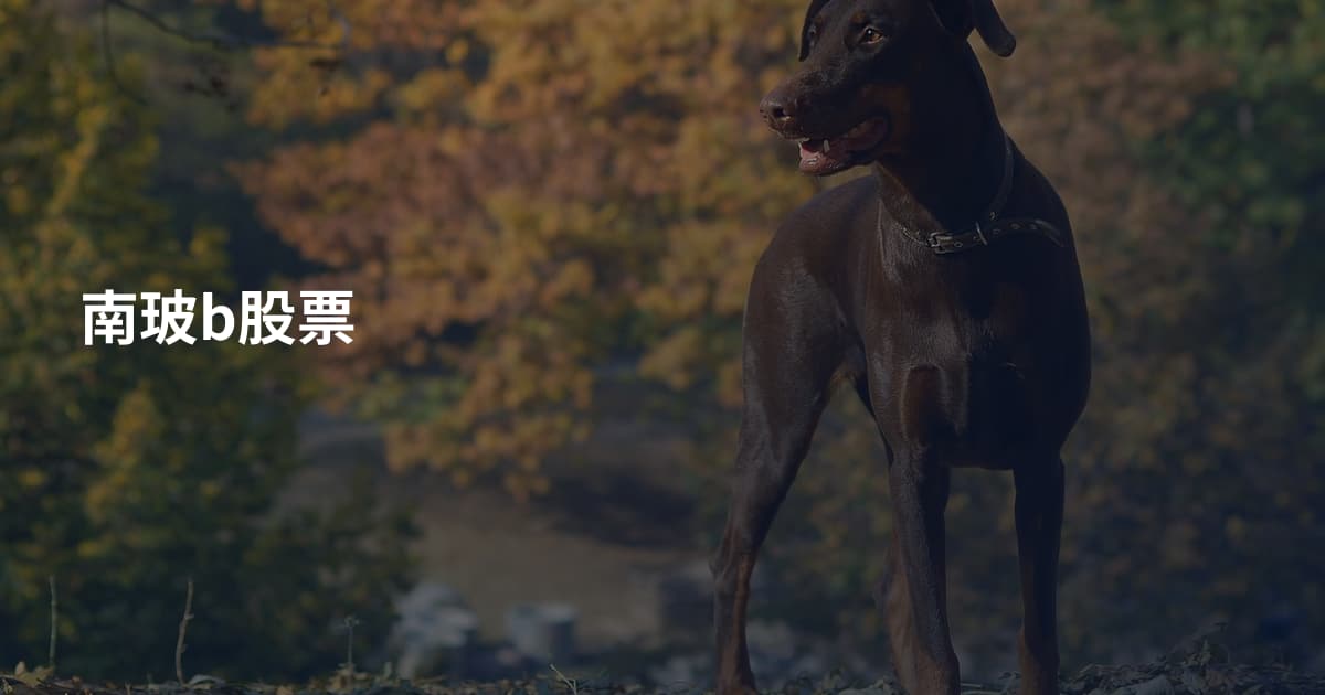 南玻b股票