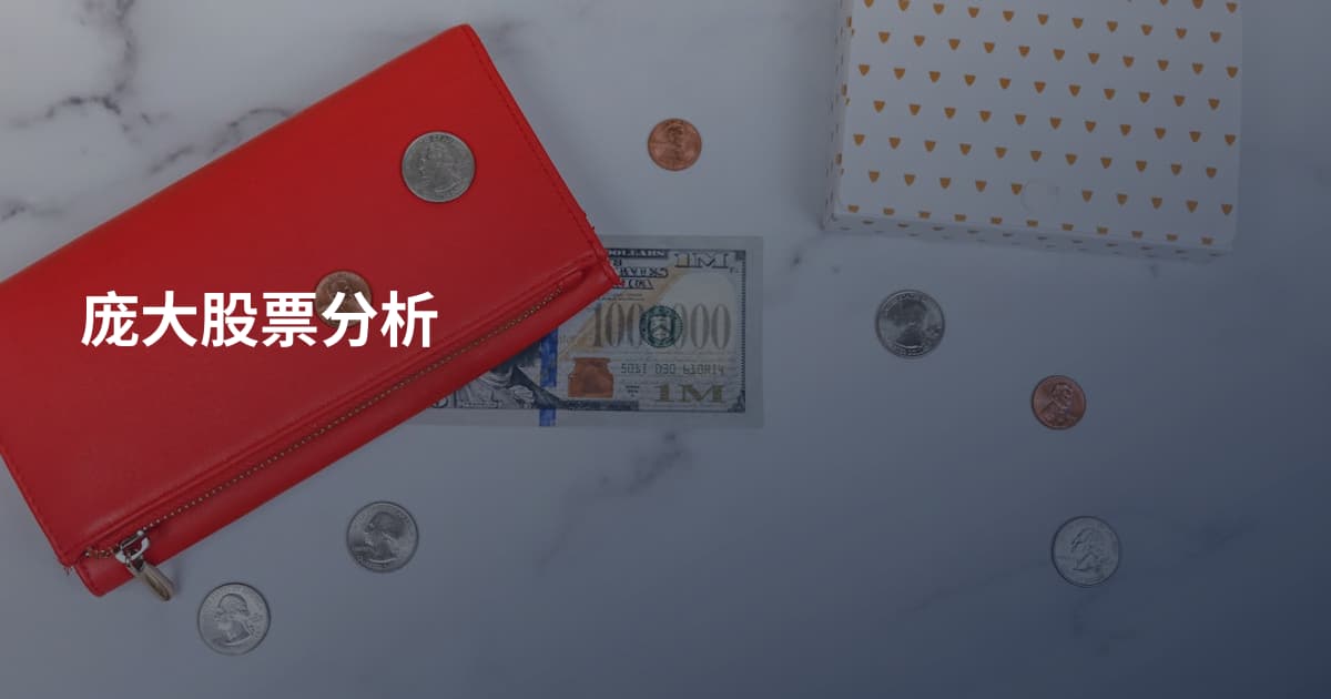 庞大股票分析