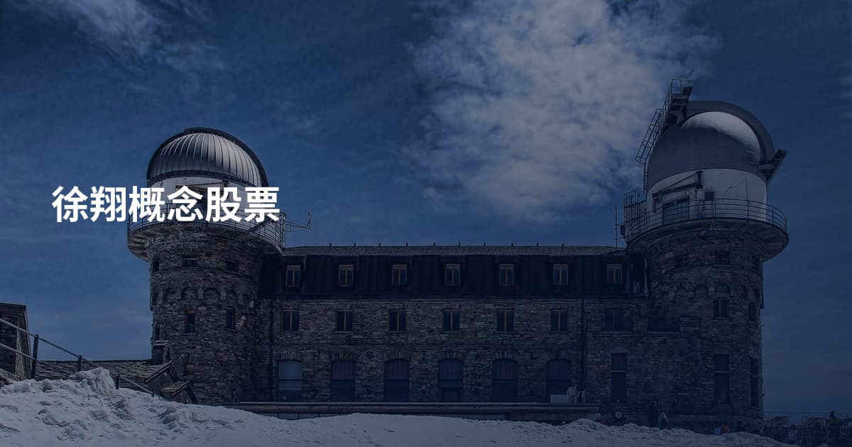 徐翔概念股票