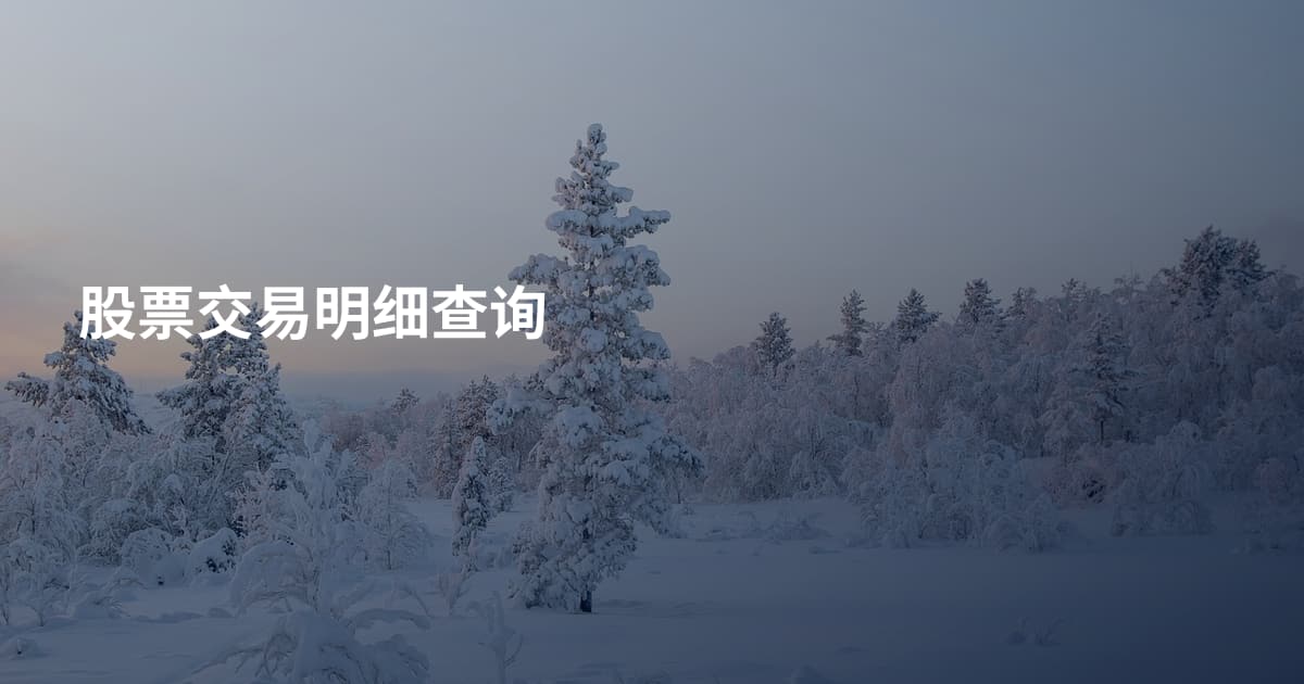 股票交易明细查询