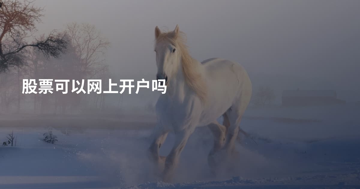 股票可以网上开户吗