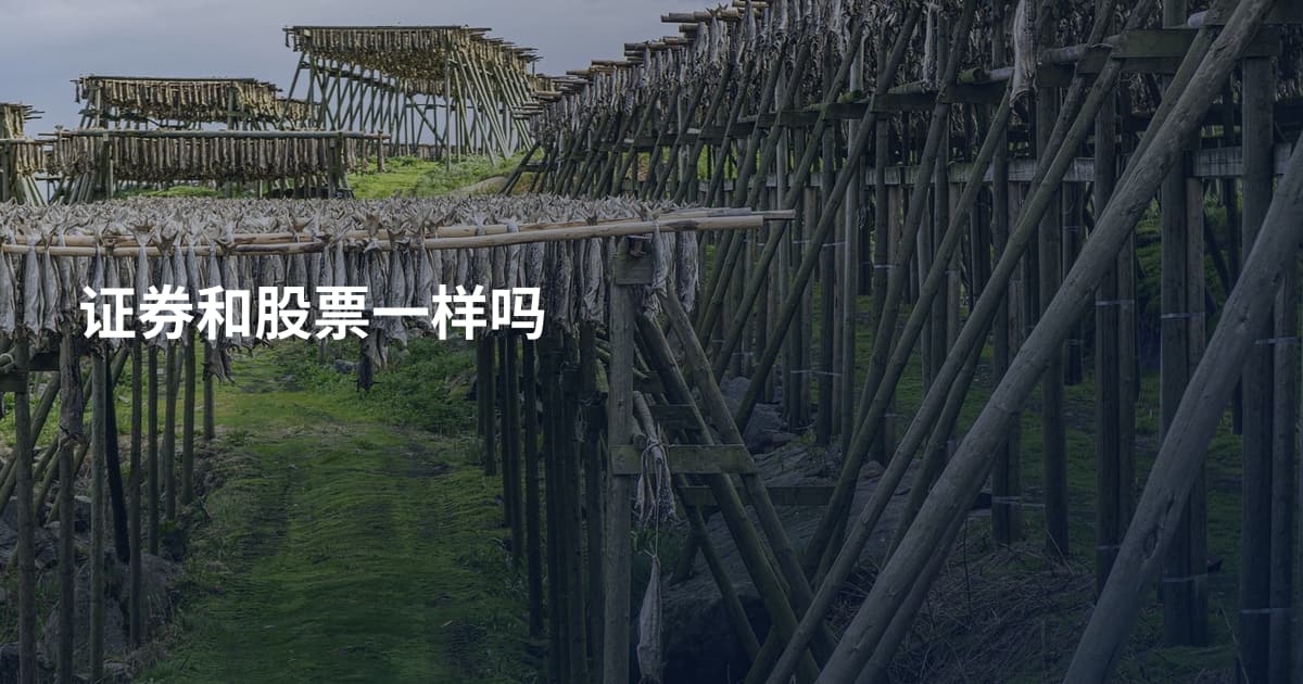 证券和股票一样吗