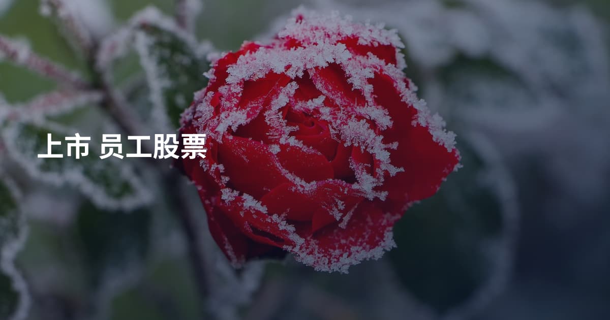 上市 员工股票
