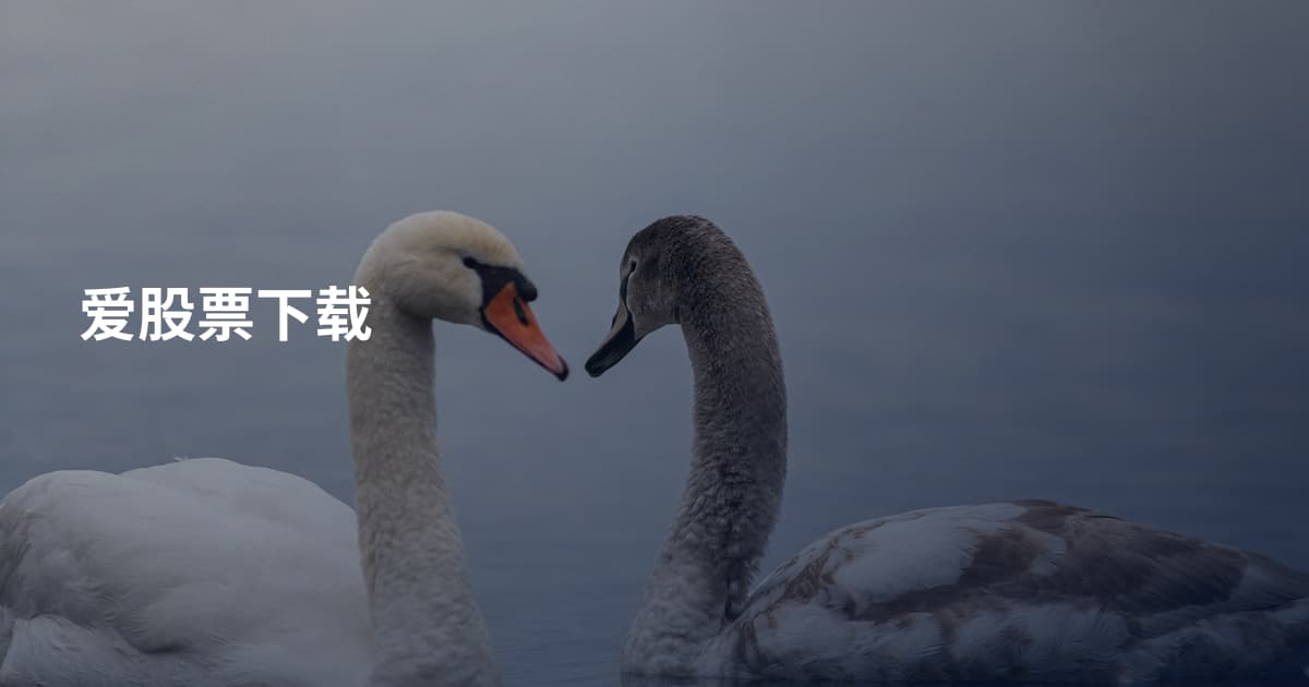 爱股票下载
