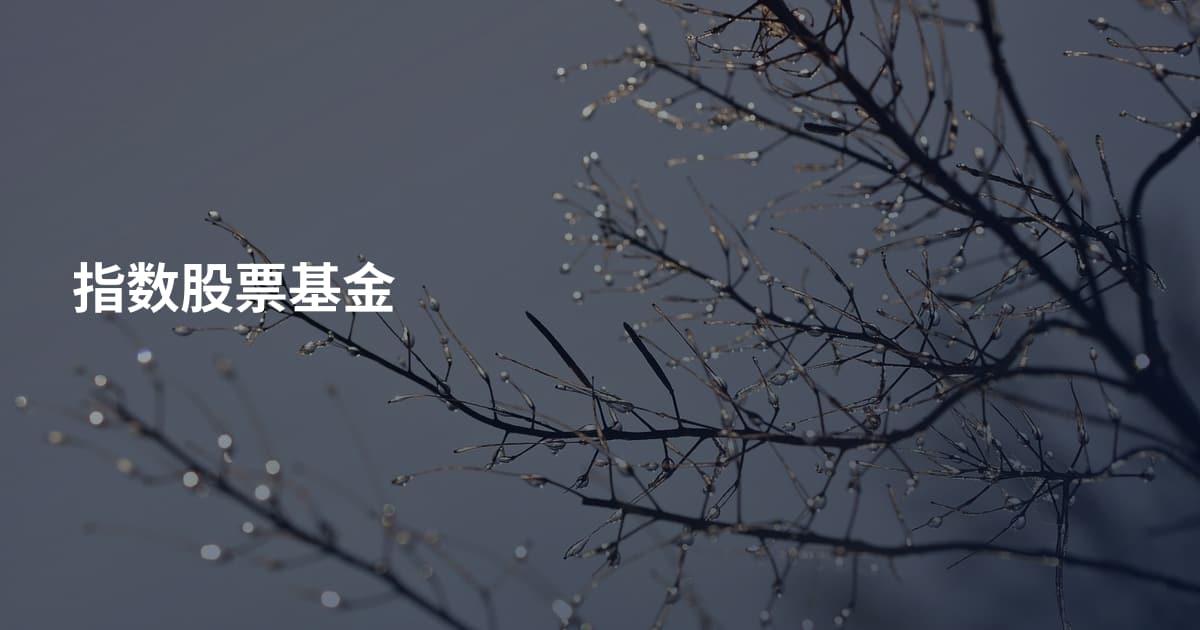指数股票基金