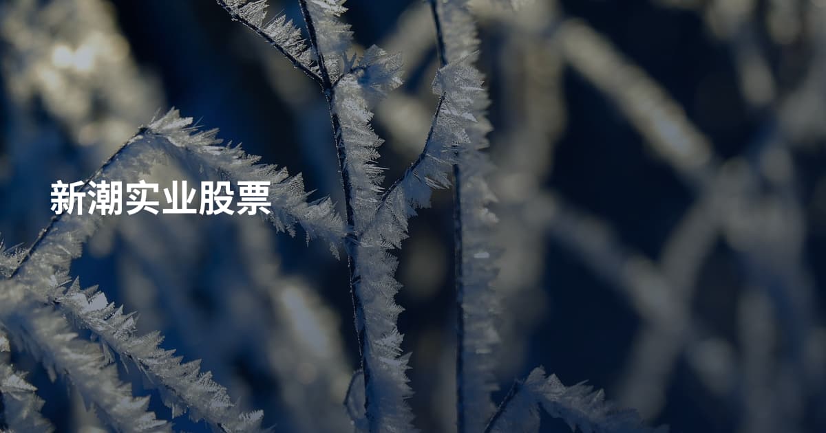 新潮实业股票