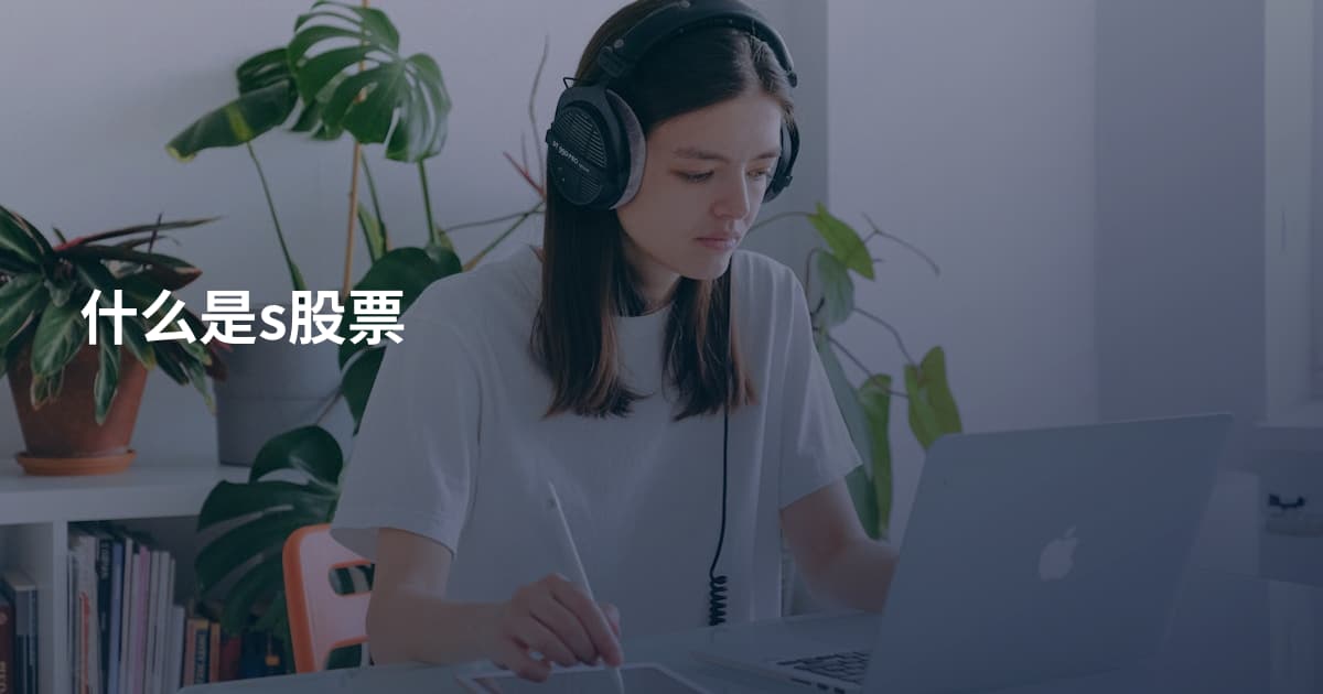 什么是s股票