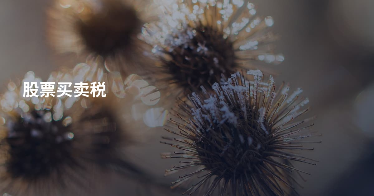股票买卖税